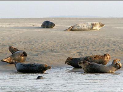 Gite De La Baie D'Authie Groffliers Luaran gambar
